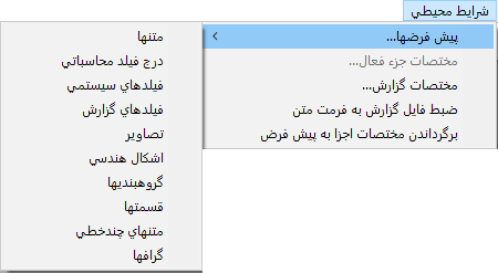 منوی پیش فرضها در شرایط محیطی طراحی Quick Report نرم افزار حسابداری حسابگر